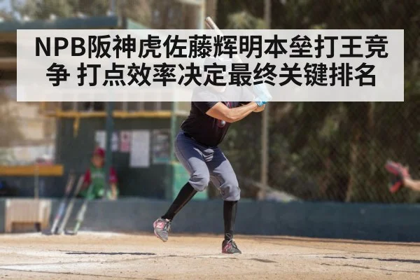 NPB阪神虎佐藤辉明本垒打王竞争 打点效率决定最终关键排名